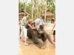 Im Khao Sok Nationalpark werden Urlauber zu Tierpflegern