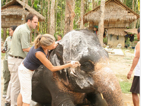Elefant Reise Urlaub Hotel Elefant Reise Urlaub Hotel