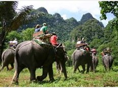 Elefant Reise Urlaub Hotel