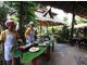 Thailand Elefanten Hotel