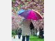 Wetter Bauernregeln Wetter Bauernregeln