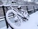Wetter Bauernregeln Wetter Bauernregeln