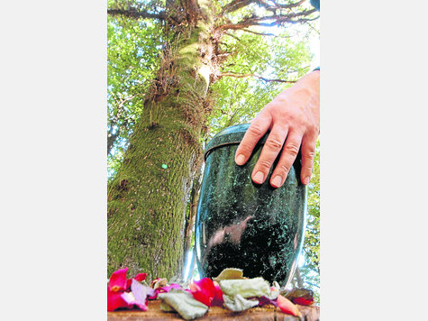Bestattung mitten in der Natur: Ein Waldbesitzer will bei Althegnenberg einen Friedhof unter Bäumen einrichten. Die Urnen würden unter Bäumen vergraben. Grabpflege ist nicht nötig. Beispielfoto: dpa Bestattung mitten in der Natur: Ein Waldbesitzer will bei Althegnenberg einen Friedhof unter Bäumen einrichten. Die Urnen würden unter Bäumen vergraben. Grabpflege ist nicht nötig. Beispielfoto: dpa