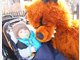 Fasching