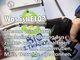 Die wichtigsten Infos zum E10-Benzin