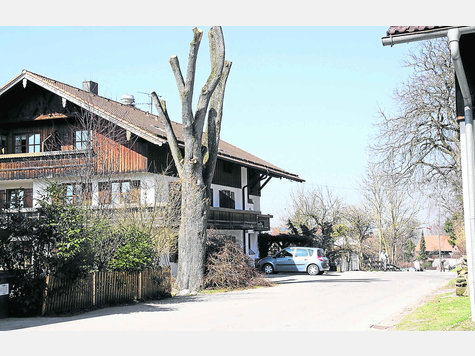 Wie es mit dem Caf&eacute; Kistler weitergeht, ist unklar. Die Gemeinde w&uuml;nscht, dass es eine Gastst&auml;tte mit Pension zu bleiben hat &ndash; obwohl die Kinder andere Ziele verfolgen und ein P&auml;chter au&szlig;erhalb der Familie nicht gefunden wurde. Foto: hermsdorf