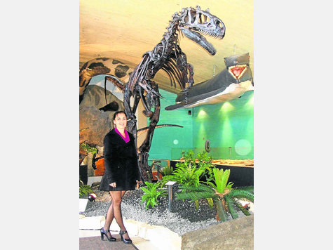 Gr&ouml;&szlig;envergleich: Ein Mensch wirkt neben dem Allosaurus im Urzeitmuseum klein. Foto: fkn