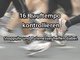 Stadtlauf Halbmarathon Tipps
