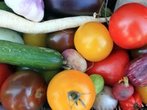 Laufen wichtige Ernährungstipps