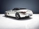 Mercedes-Benz SLS AMG Roadster