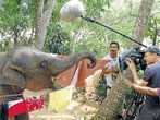 Am 14. Juli startet das Tier- und Umweltfilmfestival Natur Vision