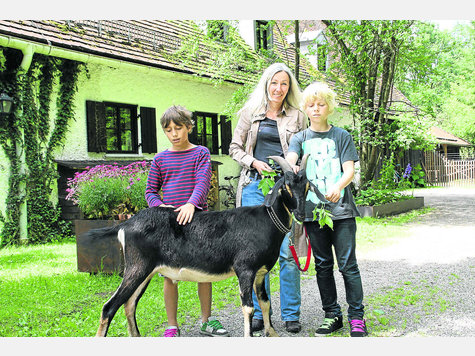 Ziegenbock Brom genießt die Streicheleinheiten von Vereinsvorsitzender Ina Kirchhoff, David (l.) und Jakob auf dem Begegnungshof in Wörnbrunn. foto: birgit davies Ziegenbock Brom genießt die Streicheleinheiten von Vereinsvorsitzender Ina Kirchhoff, David (l.) und Jakob auf dem Begegnungshof in Wörnbrunn. foto: birgit davies