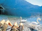 Die schönsten Seen Österreichs - Kraftplätze vor starker Kulisse: