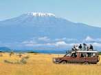 Zum 50. Todestag von Hemingway: Auf den Spuren des Autors in Afrika
