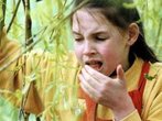 Heuschnupfen - Kinder bei Pollenallergie behandeln 
