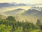 Wein, Wellness und weite Landschaft in der Südsteiermark