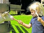Familienurlaub am Katschberg
