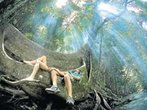 Urlaubsträume zwischen Brisbane und dem Great Barrier Reef