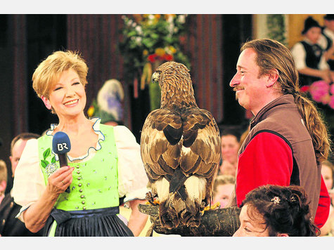 Paul Klima und Steinadler Sky müssen nun in Hartpenning fürs Filmprojekt trainieren. Foto: archiv Paul Klima und Steinadler Sky müssen nun in Hartpenning fürs Filmprojekt trainieren. Foto: archiv