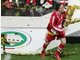 FC Bayern Publikumslieblinge
