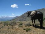 Nahe Naturwunder in Chile - Es muss nicht immer Patagonien sein