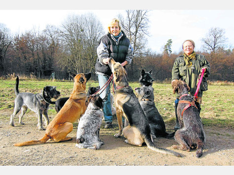 Gehorsam will gelernt, aber auch belohnt werden: Christina Schlösser (li.) arbeitet mit bis zu zehn Hunden täglich. Heute umringen sie (v.li.) Ginger, Susi, Paula, Relish, Cliff, Stella, Linus und Eyka mit Besitzern Roswitha Ellwanger. foto: höfle Gehorsam will gelernt, aber auch belohnt werden: Christina Schlösser (li.) arbeitet mit bis zu zehn Hunden täglich. Heute umringen sie (v.li.) Ginger, Susi, Paula, Relish, Cliff, Stella, Linus und Eyka mit Besitzern Roswitha Ellwanger. foto: höfle