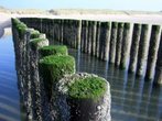 Nordsee zwischen Deichen und Dünen - Die Küste von Zeeland im Winter