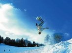 Urlaubsparadies Bayerischer Wald: Die besten Tipps aus dem neuen Reiseführer