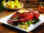 Nova Scotia tischt auf: Der kleine Hummer zwischendurch