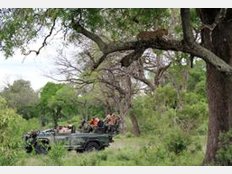 S&uuml;dafrika Safari