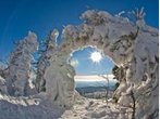 Langlaufen im Bayerischen Wald : Soweit die Skier gleiten