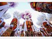 Trippelschritte und Apfelsinenregen - Der Karneval von Binche
