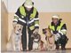 Die M&uuml;nchner Feuerwehr rettete Hunde vor einem Wohnungsbrand in der Au.