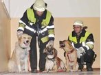 Feuerwehr rettet vier Hunde vor Wohnungsbrand in München - ein Mann wird verletzt