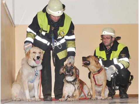 Die M&uuml;nchner Feuerwehr rettete Hunde vor einem Wohnungsbrand in der Au.