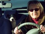 Jeder Zweite würde Führerschein bei Gesundheitsproblemen abgeben