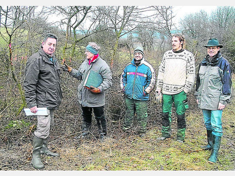 Ein Beitrag zur Biotoppflege und zum Kliamschutz ist die Heckenpflege bei Kirchdorf. Manfred Pohl, Matthias Maino, Landwirt Christian Kratzl, Tobias Oehmen und B&uuml;rgermeister Konrad Springer begutachten das Ergebnis. Foto: mettig