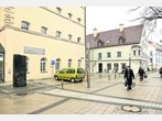 "Baum oder nicht Baum?" bleibt weiter die Frage