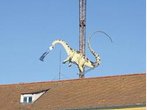 Förderkreis Naturkundemuseum Bayern gründet sich in München