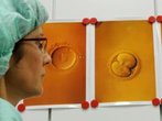 Erstes deutsches PID-Baby geboren