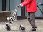 Schülerin überfällt Frau mit Rollator