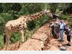 Kenia Nairobi: Safari mit Kindern - Abenteuer in Afrika 