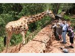 Kenia Nairobi: Safari mit Kindern - Abenteuer in Afrika 