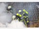 Ein alter &Ouml;lofen sorgte f&uuml;r einen Wohnhausbrand in Ebersberg.