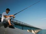 Die Florida Keys: Tiere und süße Köstlichkeiten am Ende von Amerika