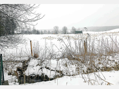 Erst nein, dann ja: Die Gemeinde will westlich der Gartenstra&szlig;e nun doch Bauland ausweisen. Foto: svj