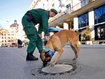 Viele Einschränkungen wegen der Siko