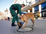 Viele Einschränkungen wegen der Siko