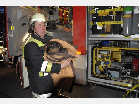 Dackelrettung Steinh&ouml;rung