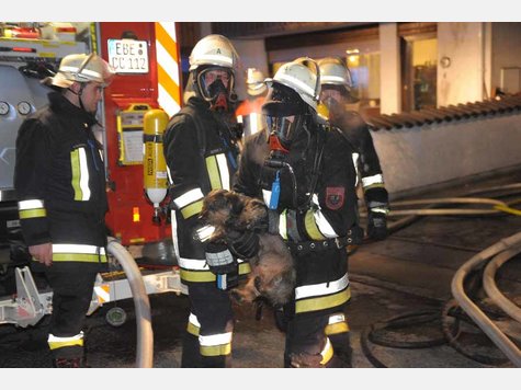 Dackelrettung Steinh&ouml;rung